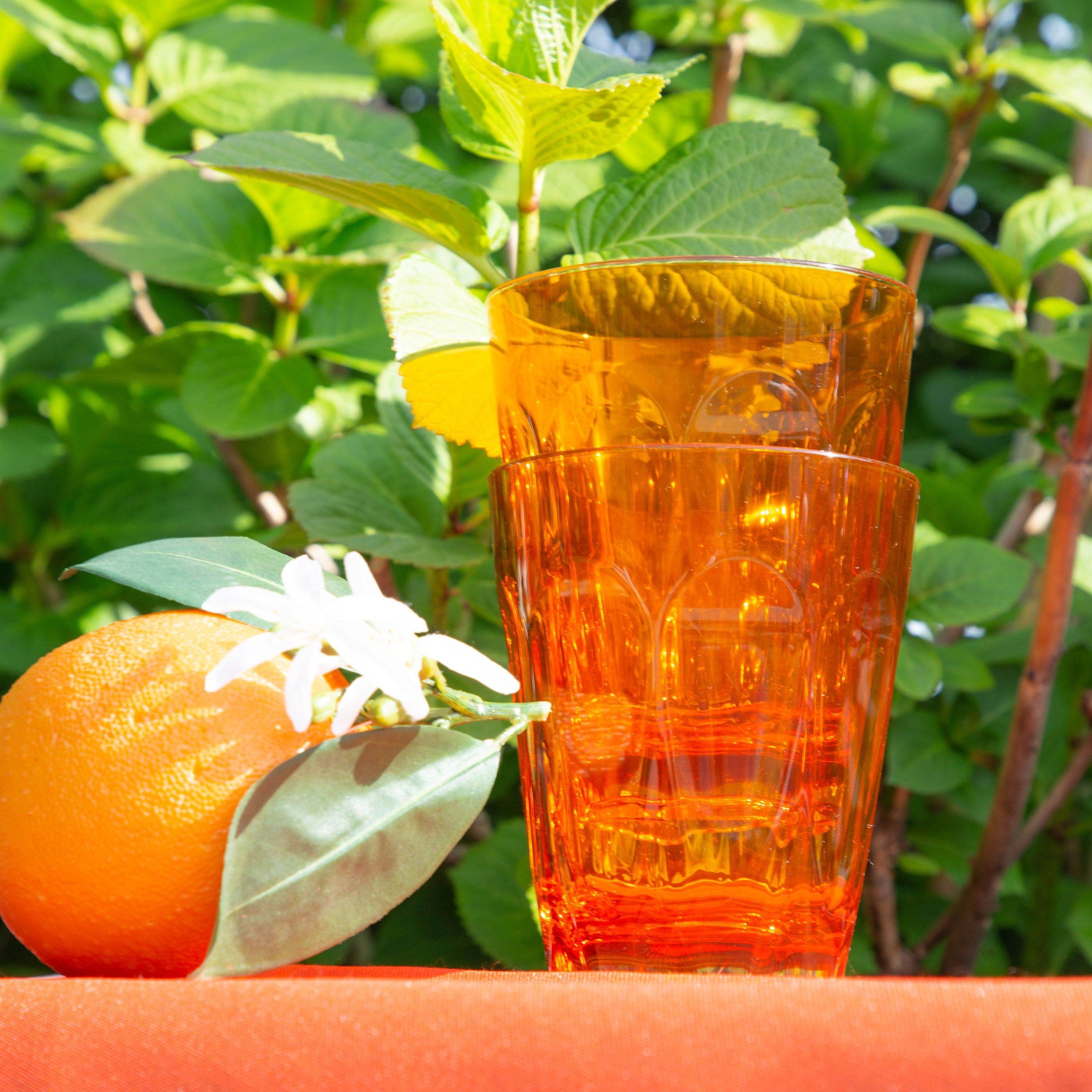 Set of 6 Water Glasses - Orange - Aqua - Baci Milano