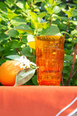 Set of 6 Water Glasses - Orange - Aqua - Baci Milano